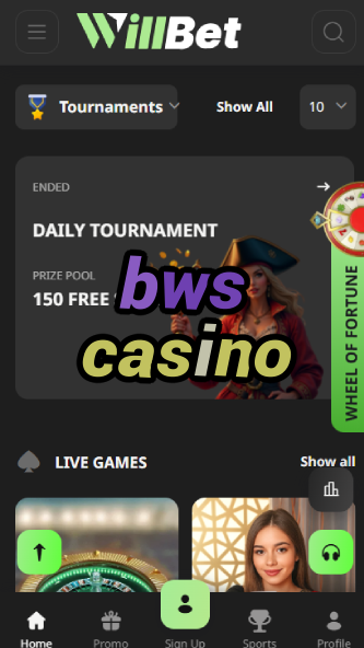 BWS Casino - Best Online Casino in 2024-www.bdqngd.com