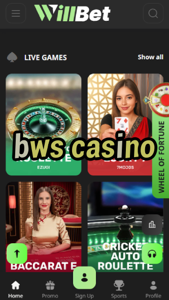 BWS Casino - Best Online Casino in 2024-www.bdqngd.com